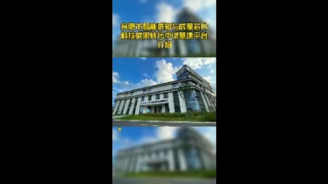 合肥市智能感知与成像芯片科技成果转化中试基地平台介绍