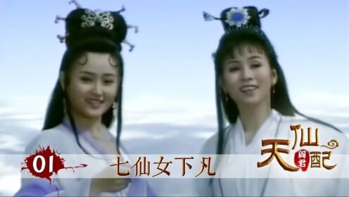 《天仙配》01:七仙女私自下凡,第一次遇到书呆子董永,是心动的感觉_高清1080P在线观看平台_腾讯视频