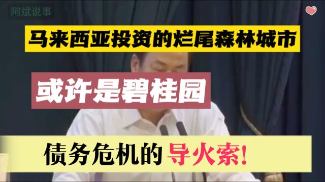 杨国强在马来西亚投资的大烂尾森林城市,亏损2000多亿,这或许是碧桂园债务危机的导火索!