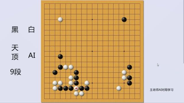 围棋AI:天顶围棋也来学习一盘