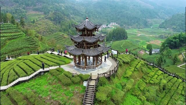 宣恩伍家台,休闲娱乐的好去处,也是恩施贡茶的原产地.#湖北恩施风景 #茶园风光 #旅游 #旅行大玩家 #茶园