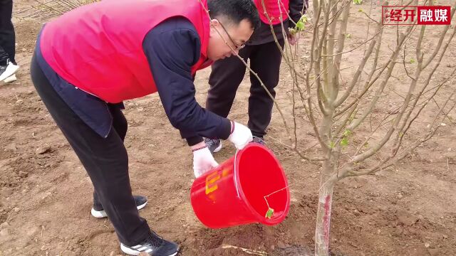 不负春光添新绿!张家口经开区组织开展全民义务植树活动