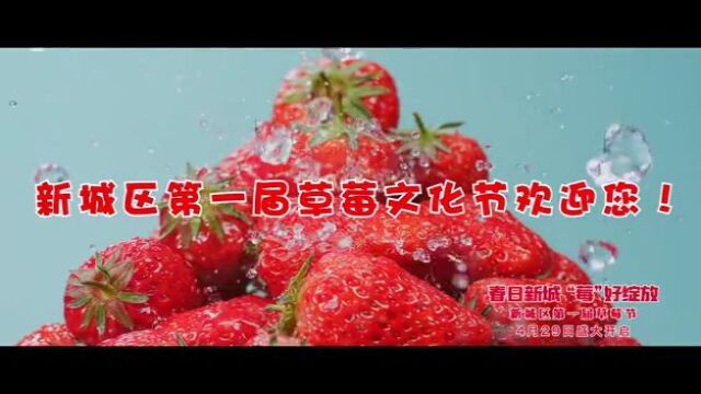 呼和浩特市新城区第一届草莓文化节于2023年4月29日在讨思浩村百鲜现代产业园举办.畅游新城区 乐享五一节!