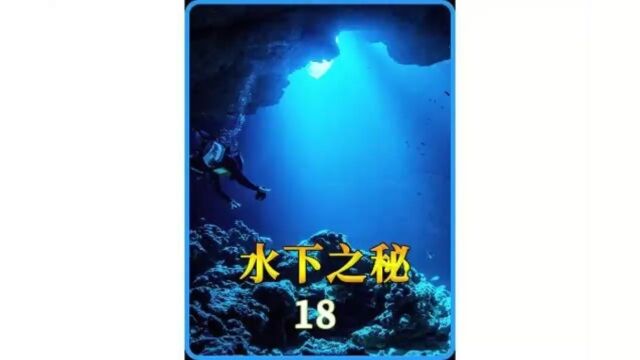 海洋怪兽居然是人创造出来的#悬疑 #美剧 #水下之秘