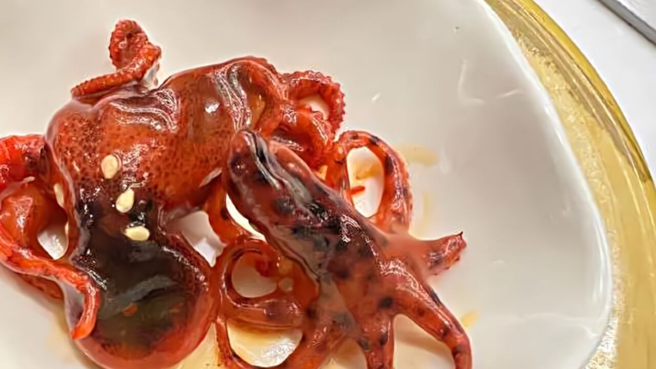 网友发帖称在知名餐厅吃到剧毒"蓝环章鱼",这次是煮熟的!