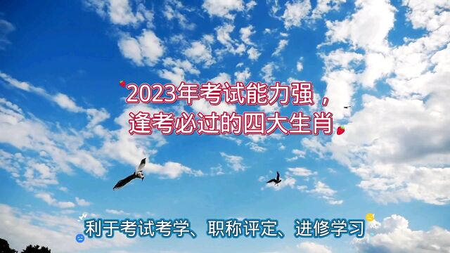 2023年考试能力强,逢考必过的四大生肖