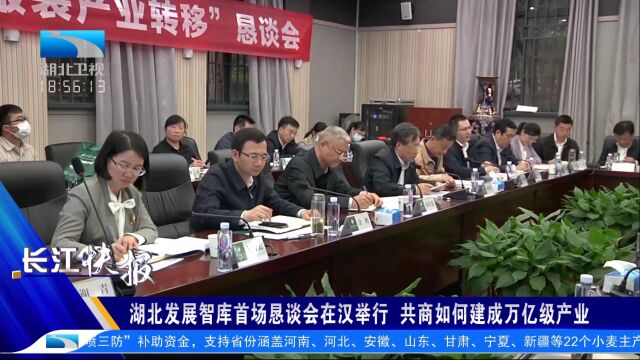 湖北发展智库首场恳谈会在汉举行 共商如何建成万亿级产业