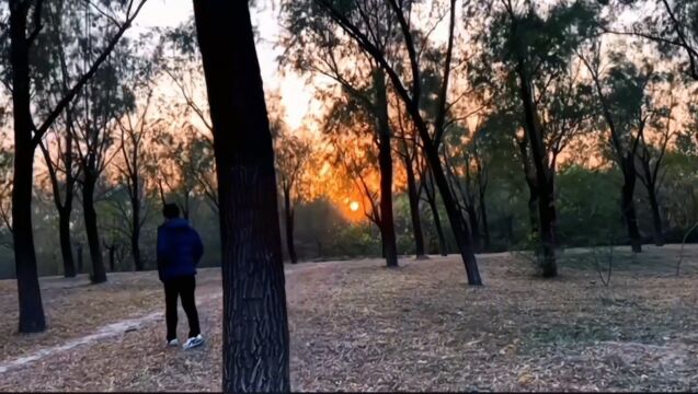 高山流水,难遇知音, 我知道你在默默注视, 所以我从来坚定前行