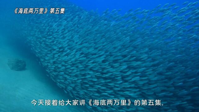 阿峰讲故事之《海底两万里》第五集