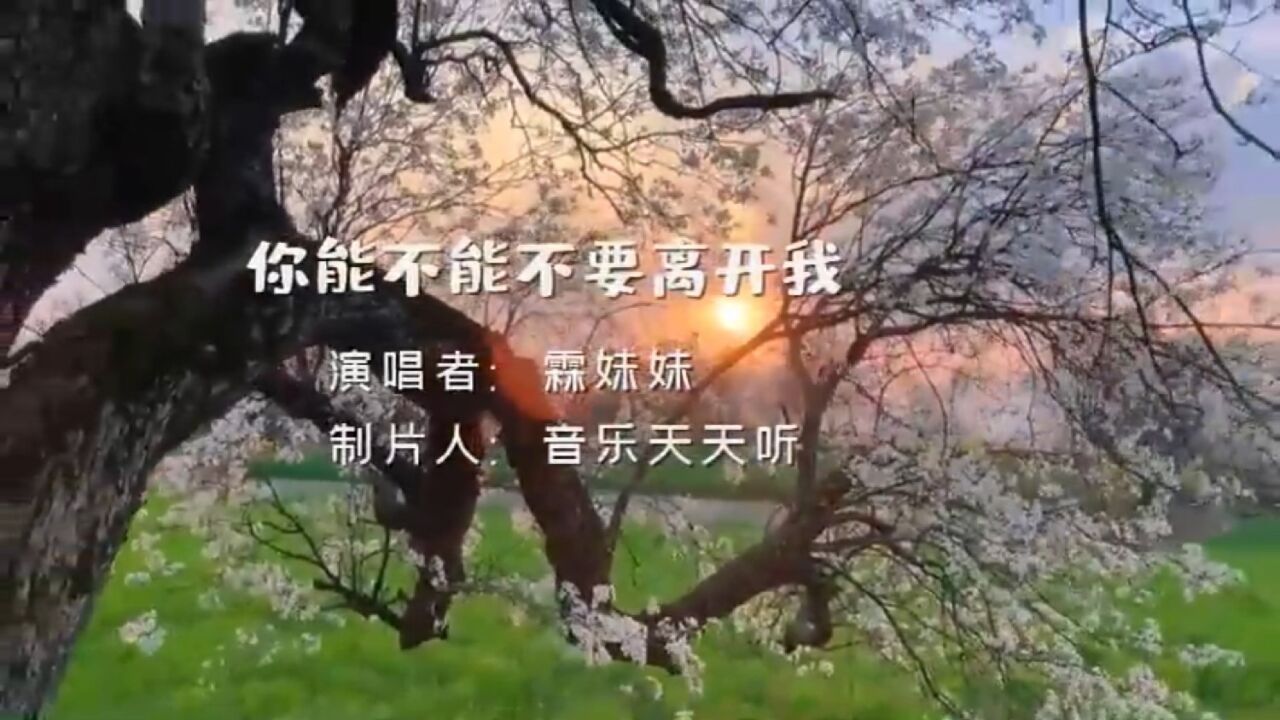 一首《你能不能不要离开我,歌手颤音像电音效果一样,太好听了