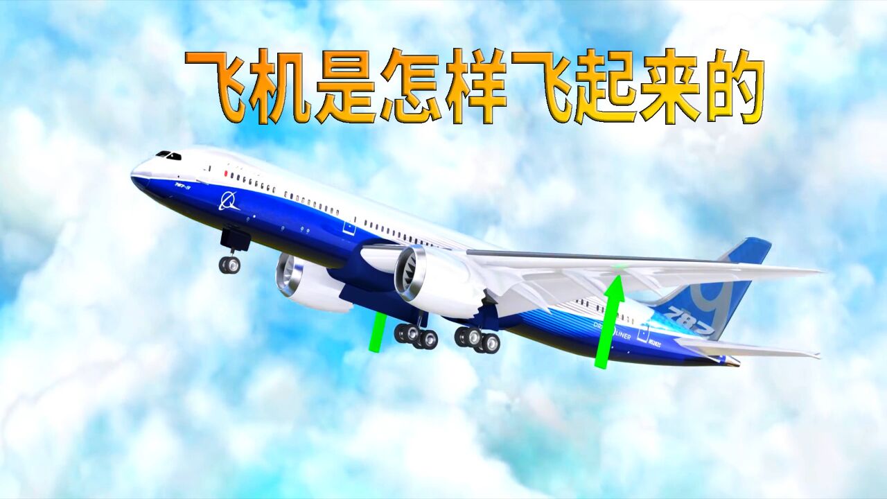 你知道飞机是怎样飞起来的吗?科普动画_高清1080P在线观看平台_腾讯视频