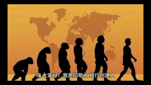 人体奥秘之直立行走2