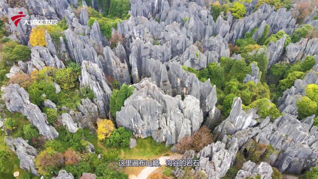 我为石林当信使,云南石林“漫游石林,慢享生活”活动启动.