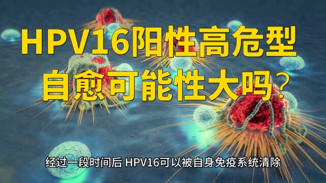 感染HPV16阳性高危型会自愈吗?何亚习:主要看这点