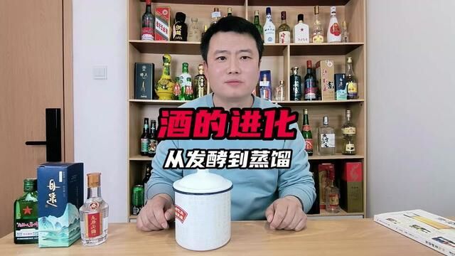 聊聊发酵酒和蒸馏酒,配图源自:混知#酿酒 #酒知识