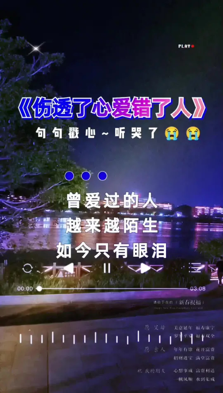 傷透了心愛錯了人 愛了一個不該愛的人#傷感音樂 #聽哭了多少有故事