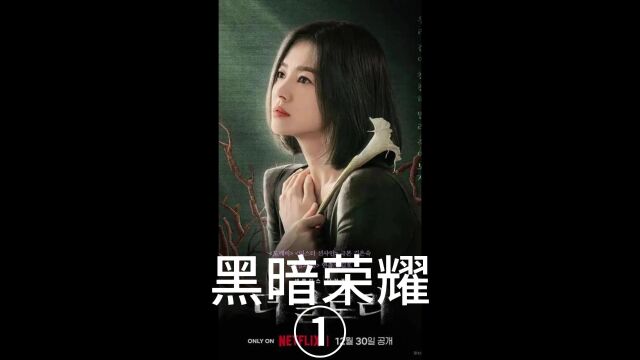 2023年好看的复仇爽剧,豆瓣评分8.8