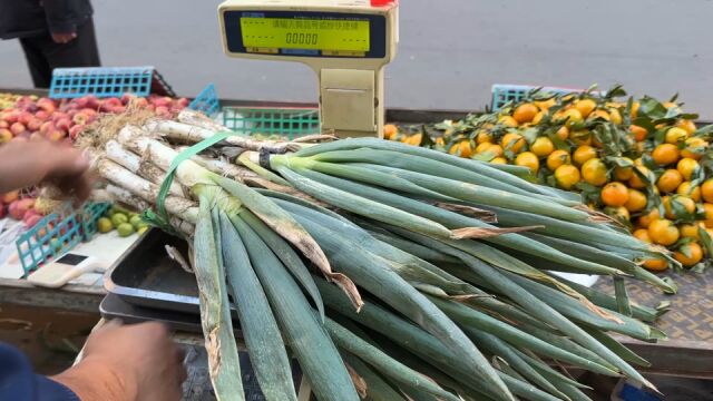 大连秋菜上市 价格便宜市民满意