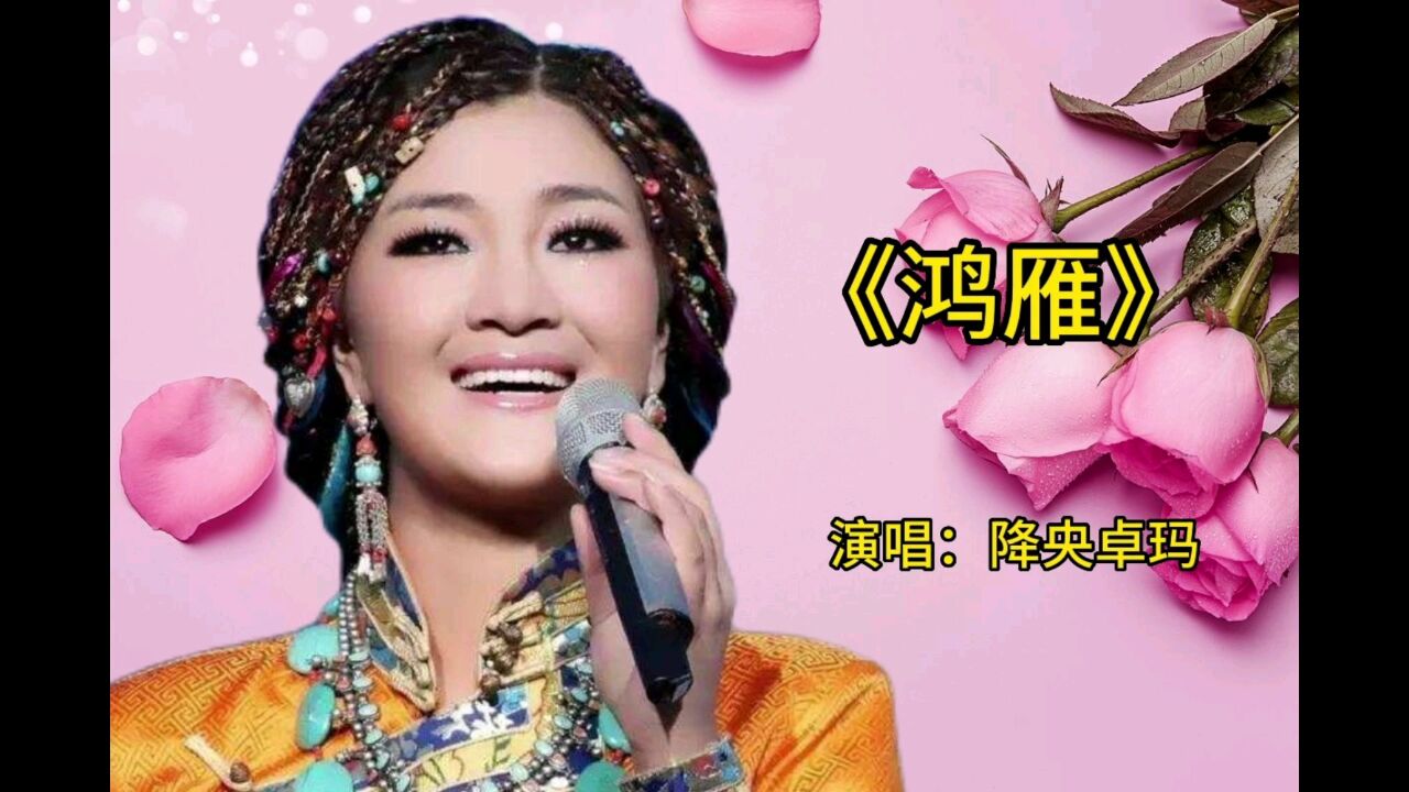 《鸿雁》演唱:降央卓玛