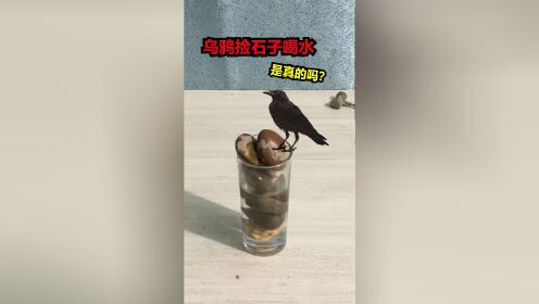 腾讯视频