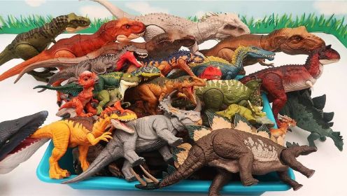 一起开各种恐龙玩具大箱