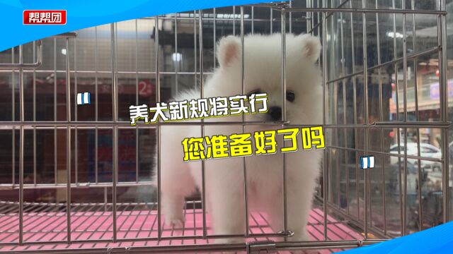 福州新规来了 遛狗不牵绳 或这样处罚!文明养犬速看