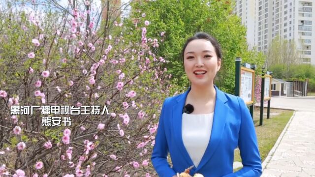 5月21日“世界的黑河”黑河城市品牌发布活动欢迎您!