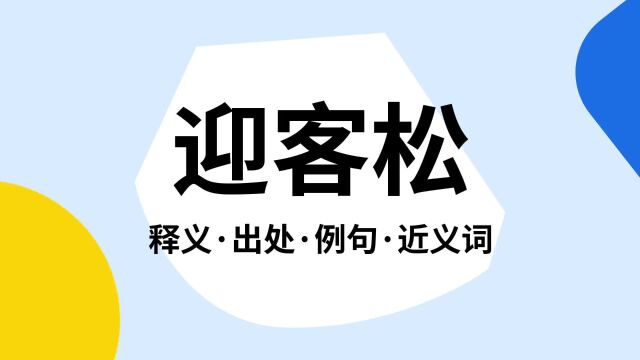 “迎客松”是什么意思?