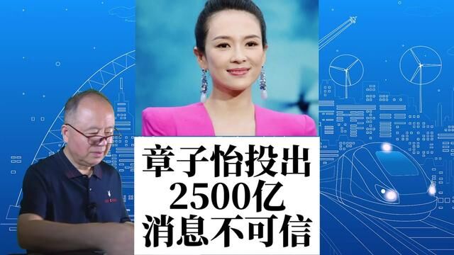 网上有媒体说,章子怡身价2500亿,可信吗? #章子怡