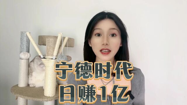 宁德时代每天狂赚一个亿,远超比亚迪