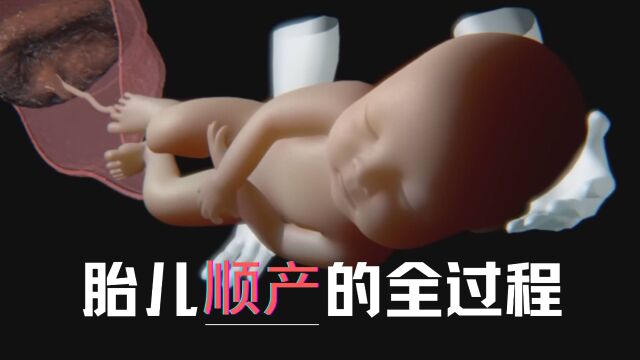 胎儿顺产的全过程是怎么样的?