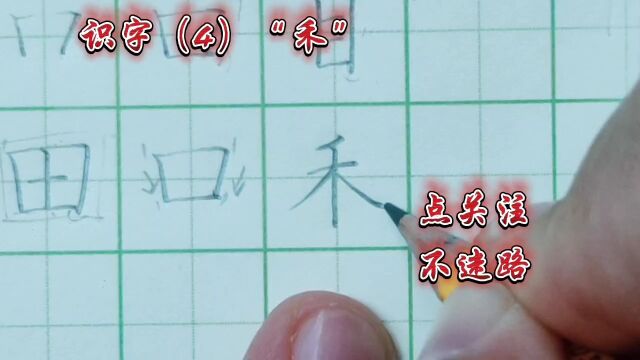 一年级识字 禾