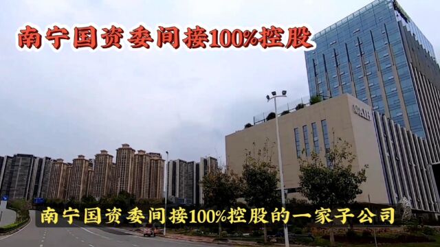 南宁市人民政府:慧泊停车场服务有限责任公司停止运营、停业整顿