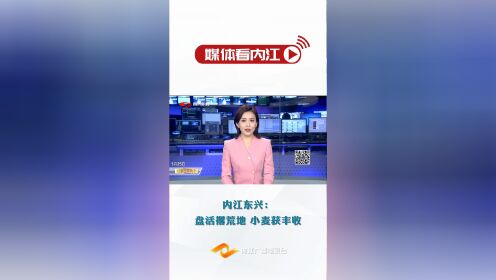 <微视>媒体看内江丨内江东兴：盘活撂荒地 小麦获丰收