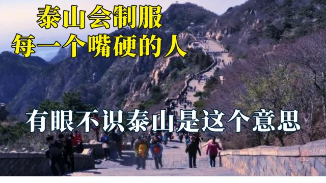 泰山会制服每一个嘴硬的人,爬完满脸生无可恋,爬前人均是特种兵