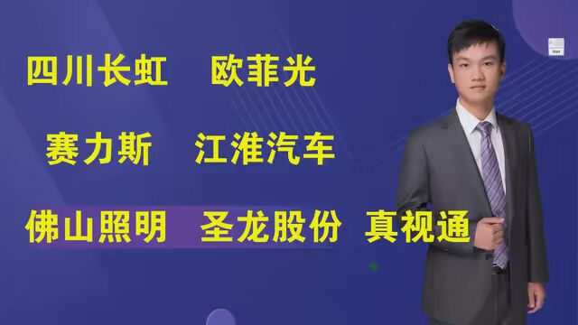 四川长虹,欧菲光赛力斯,江淮汽车,佛山照明,圣龙股份,真视通