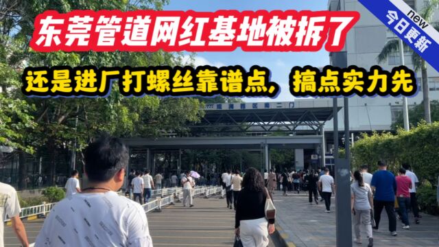 东莞管道网红基地被拆了,感觉还是进厂打螺丝靠谱点,搞点实力先