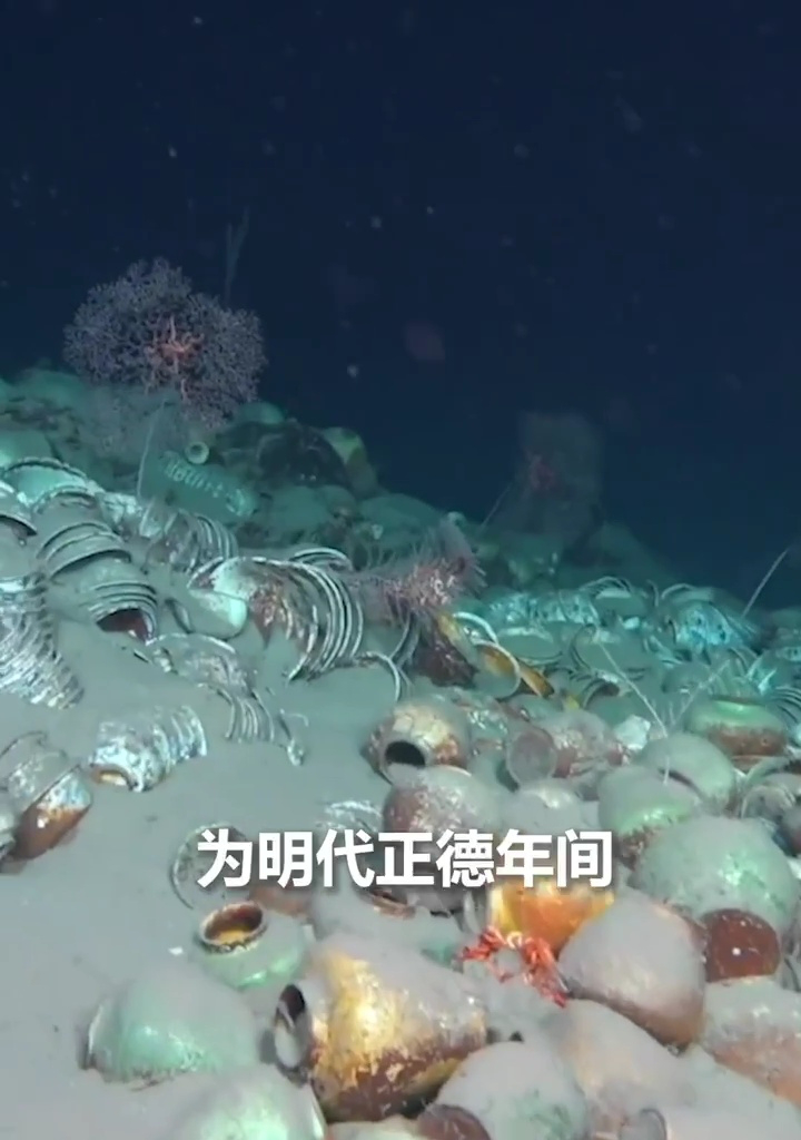 世界级重大考古发现!我国南海发现两处古代沉船,文物超10万件_高清1080P在线观看平台_腾讯视频
