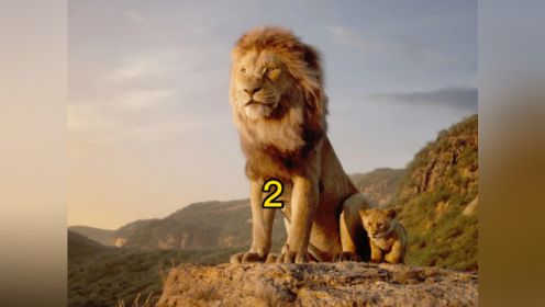 狮子王：第二集