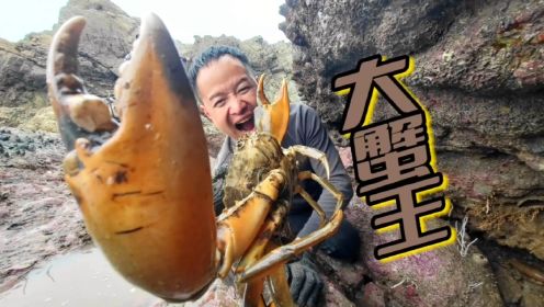 小明抓到大蟹王和龙虾，给村花煮了一锅豪华的海鲜面，太美味了