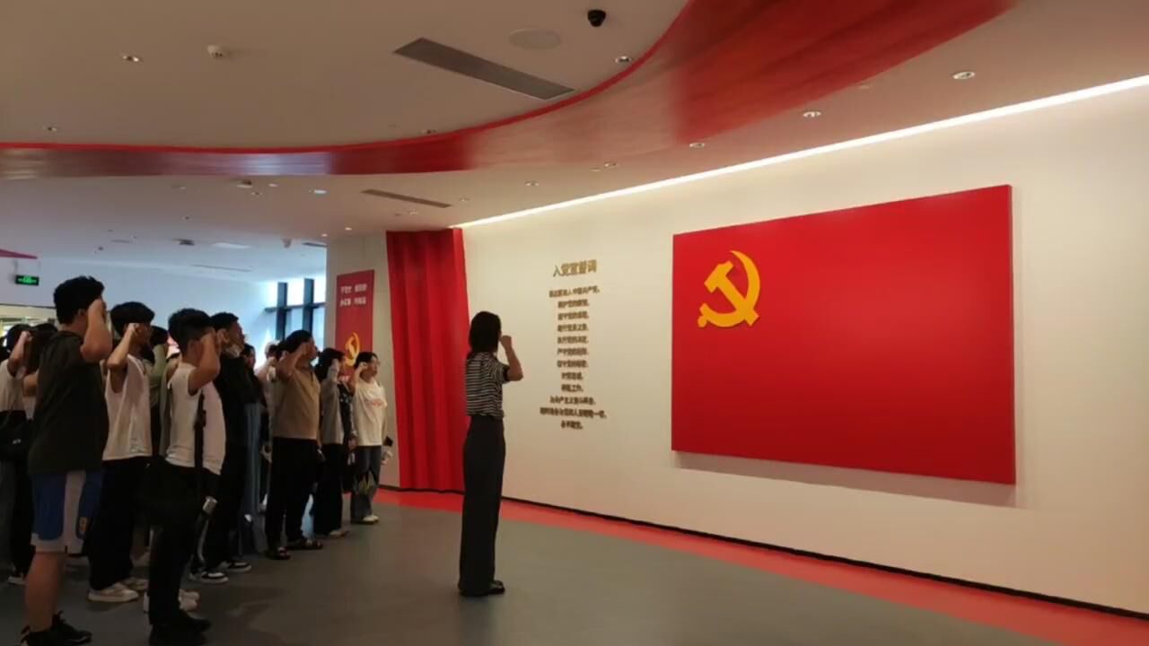 入党宣誓视频_高清1080P在线观看平台_腾讯视频