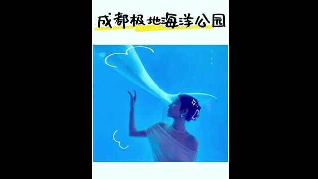 这个六一 可千万别错过成都极地海洋公园#六一去哪儿玩#儿童节#这才是儿童节该有的样子#久违的夏天#成都拍照打卡