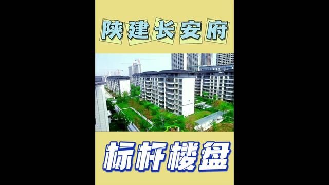 今天一起走进东南片区的标杆楼盘,陕建长安府#陕建长安府 #毛毛吃不胖