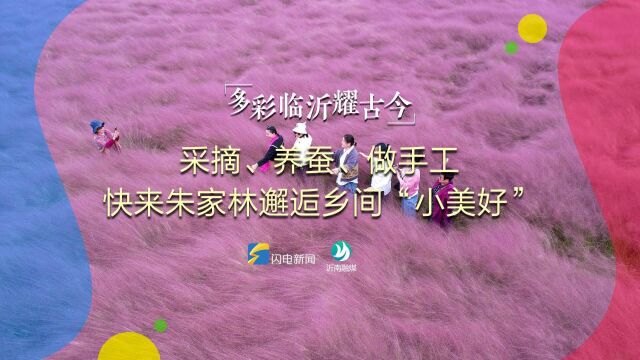 多彩临沂耀古今丨采摘、养蚕、做手工……快来朱家林邂逅乡间“小美好”