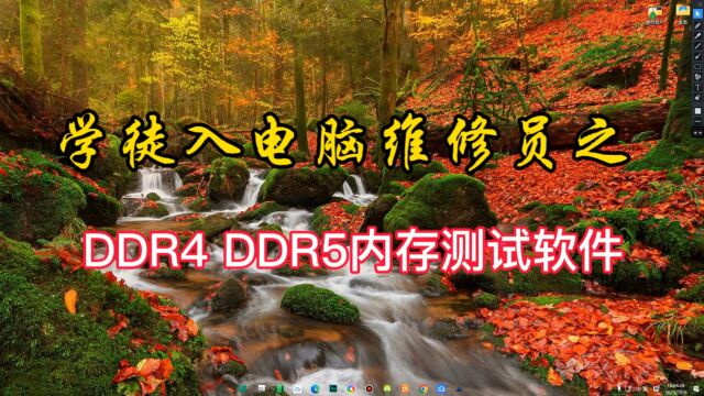 DDR4 DDR5内存不能测?看了你也能成为专业