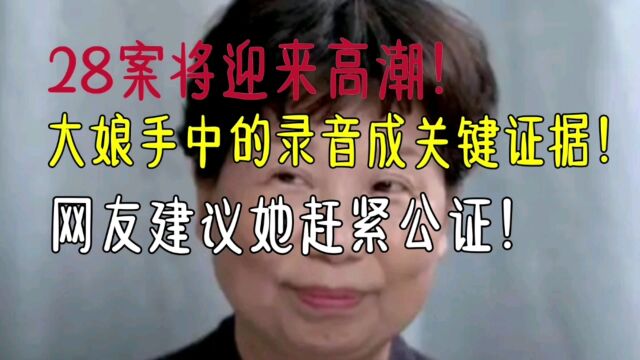 28案将迎来高潮!大娘手中的录音成关键证据!网友建议她赶紧公证!