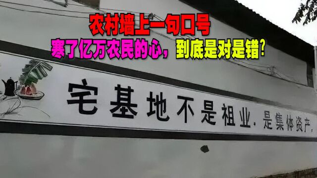 关于宅基地,农村墙上一句口号,寒了亿万农民的心,到底是对是错