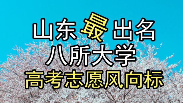 高考志愿风向标:山东省八所好大学,不一样的解读