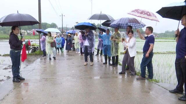 安顺市供销集团水稻机耕、机插秧(平坝区)现场观摩会在白云镇郝下村举行