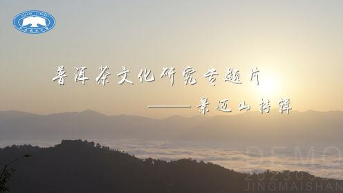普洱茶文化研究——景迈山特辑